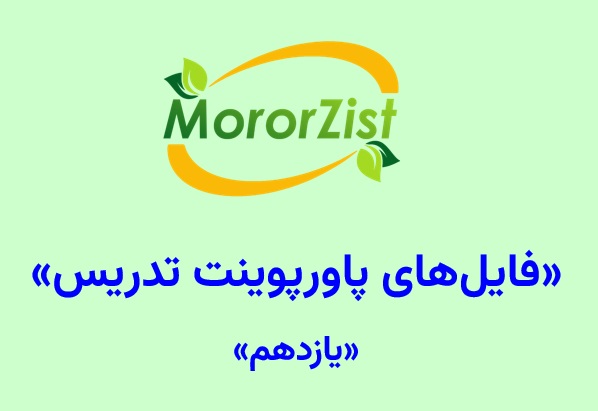 فایل‎های پاورپوینت تدریس یازدهم