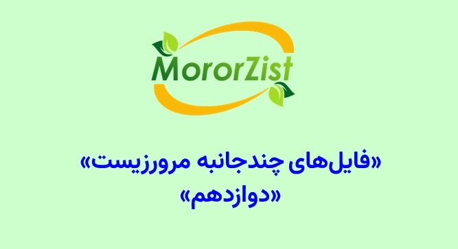 فایل‌های چندجانبه دوازدهم