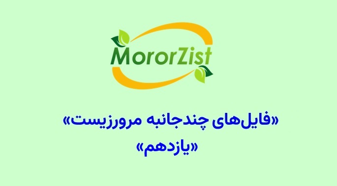 فایل‌های چندجانبه یازدهم