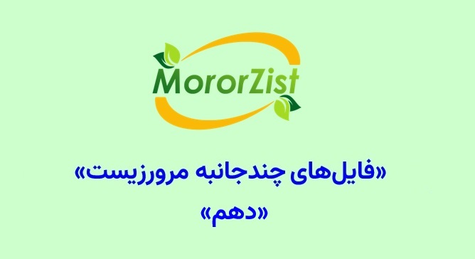 فایل‌های چندجانبه دهم